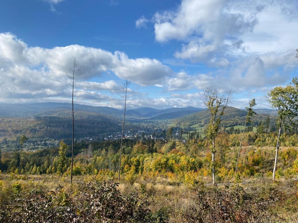 Karlovický dvůr 251 room 2